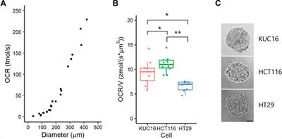 Oxygen metabolism analysis of a single organoid for non-invasive discrimination of cancer subpopulations with different growth capabilities